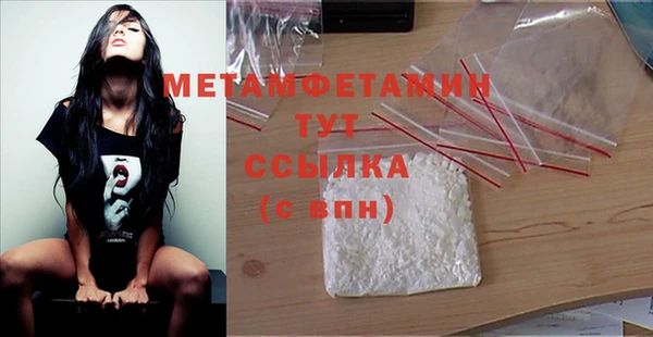шишки Надым
