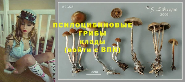 бошки Нефтегорск