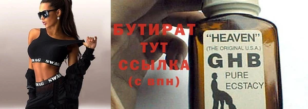 шишки Надым