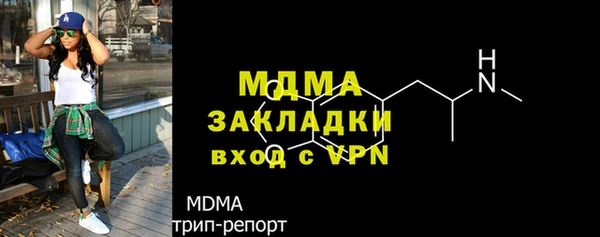 шишки Надым