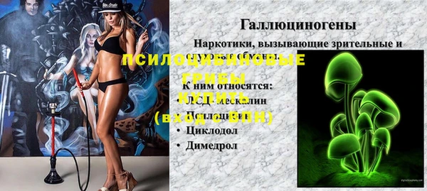 бошки Нефтегорск
