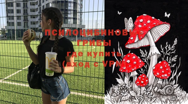 apvp Нефтекумск