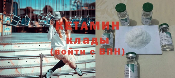 шишки Надым