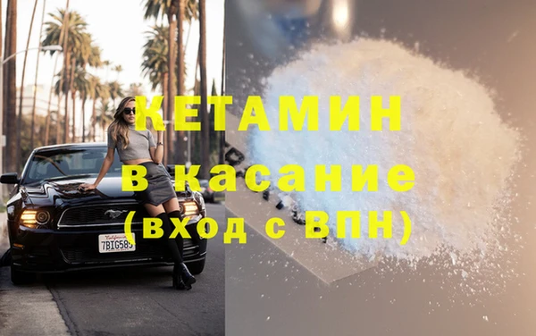 шишки Надым