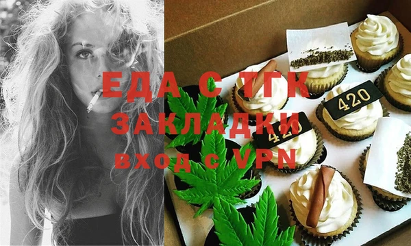 шишки Надым