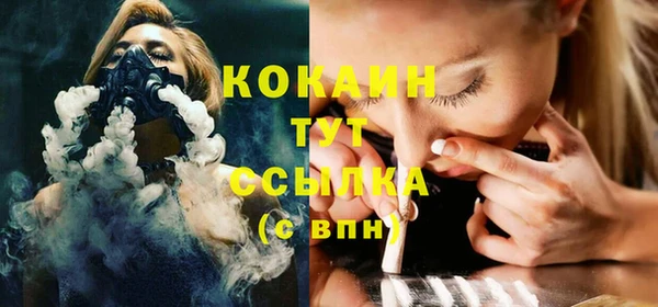 шишки Надым