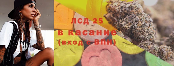 шишки Надым