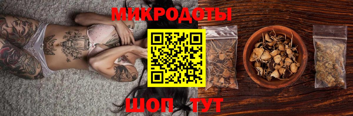 Псилоцибиновые грибы мицелий Надым