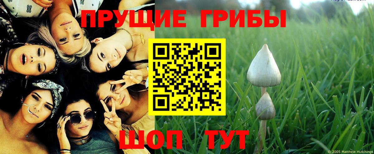 Псилоцибиновые грибы мицелий  Надым 